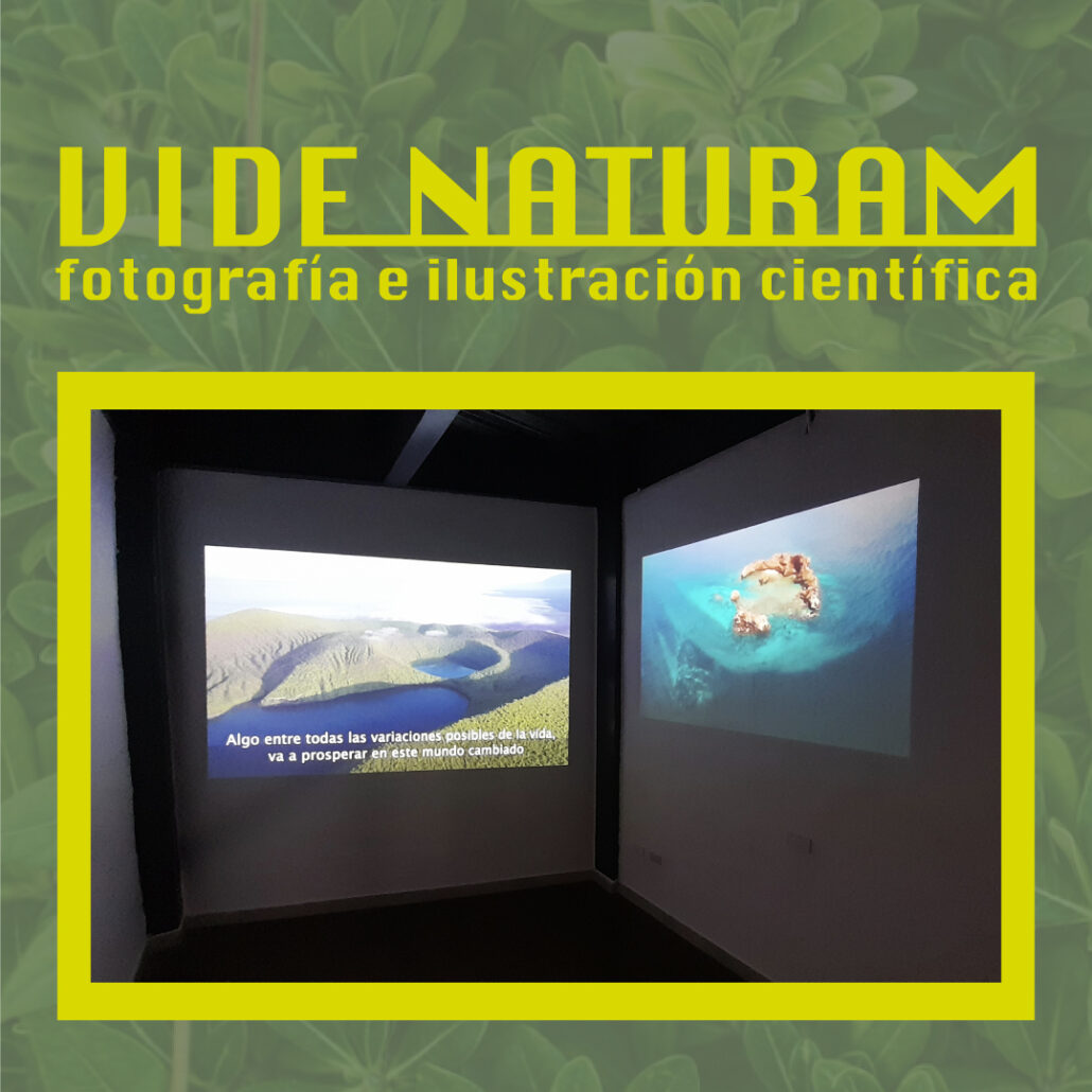 Vide-Natura---images-redes